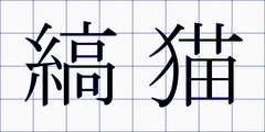 縞猫