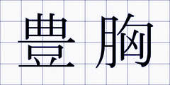 豊胸