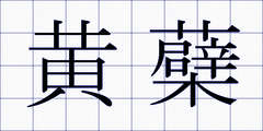 黄蘗