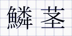 鱗茎