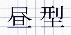昼型