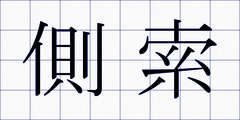 側索