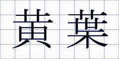 黄葉