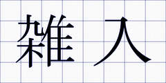 雑入