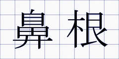鼻根