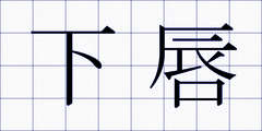 下唇