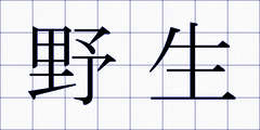 野生
