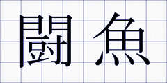 闘魚