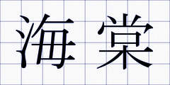 海棠