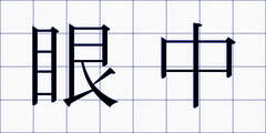 眼中