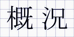 概況