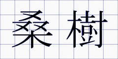 桑樹