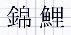 錦鯉