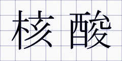 核酸
