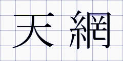 天網