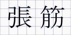 張筋