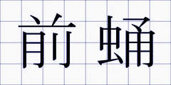 前蛹