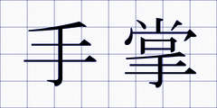 手掌