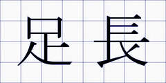 足長