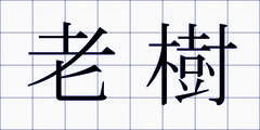老樹