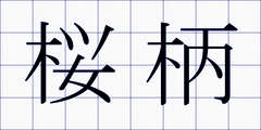 桜柄