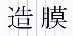 造膜