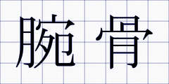 腕骨