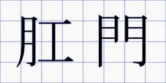 肛門