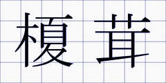 榎茸