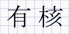 有核