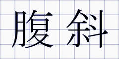 腹斜