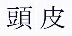 頭皮
