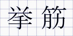 挙筋