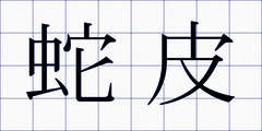 蛇皮