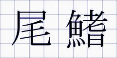 尾鰭