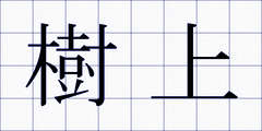 樹上