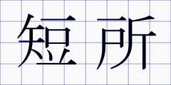 短所