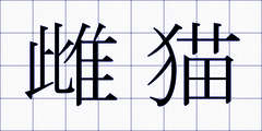 雌猫