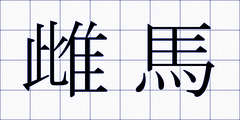 雌馬