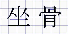坐骨