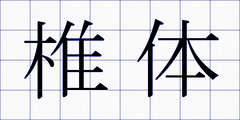 椎体