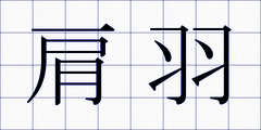 肩羽