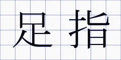 足指