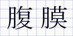 腹膜
