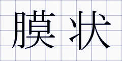 膜状
