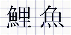 鯉魚