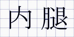 内腿
