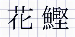 花鰹