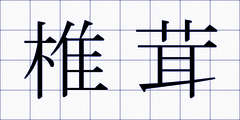 椎茸