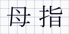 母指